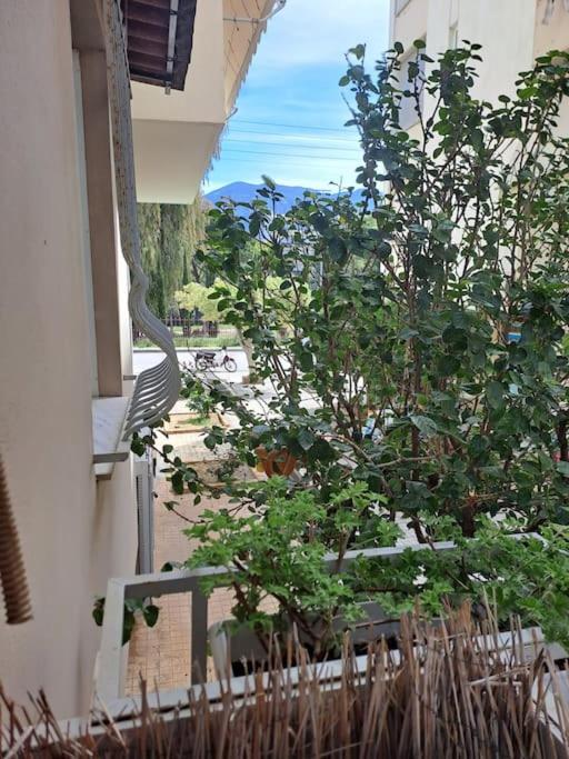 Апартаменты Δίπλα Στο Πάρκο Каламата Экстерьер фото